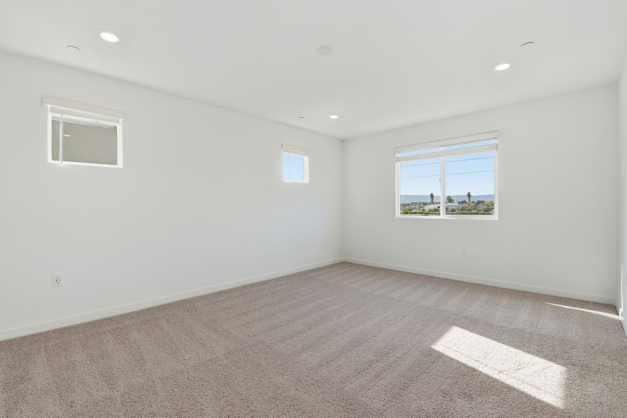 A room with a carpet and windows.