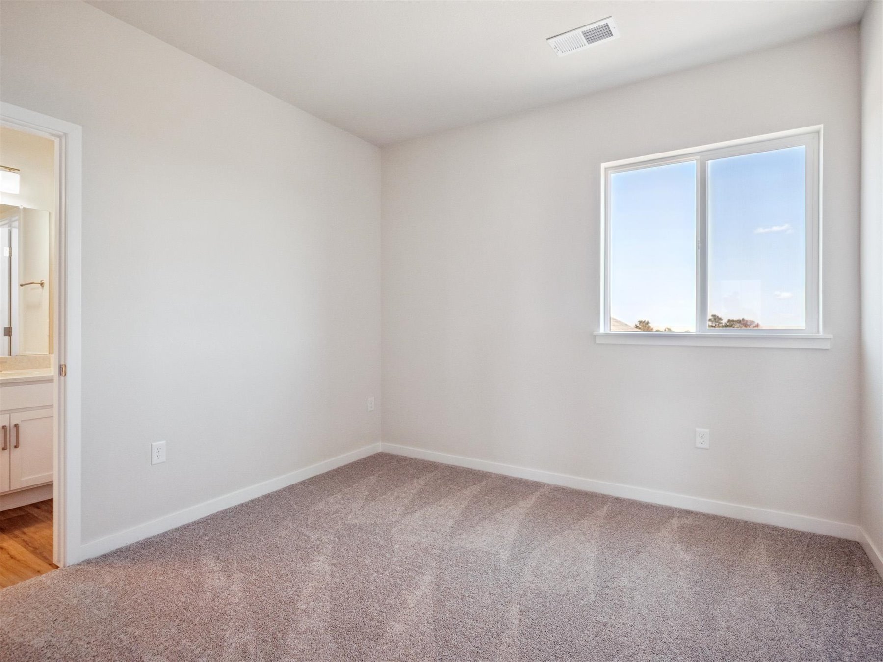 A room with a carpet and a window.