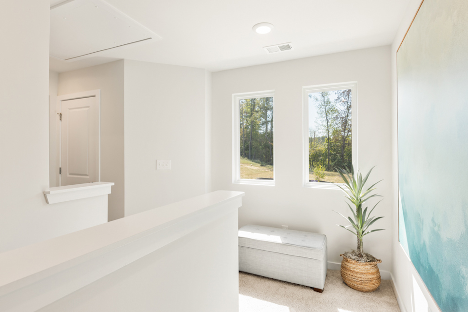 A white room with a white bench and a plant in it.