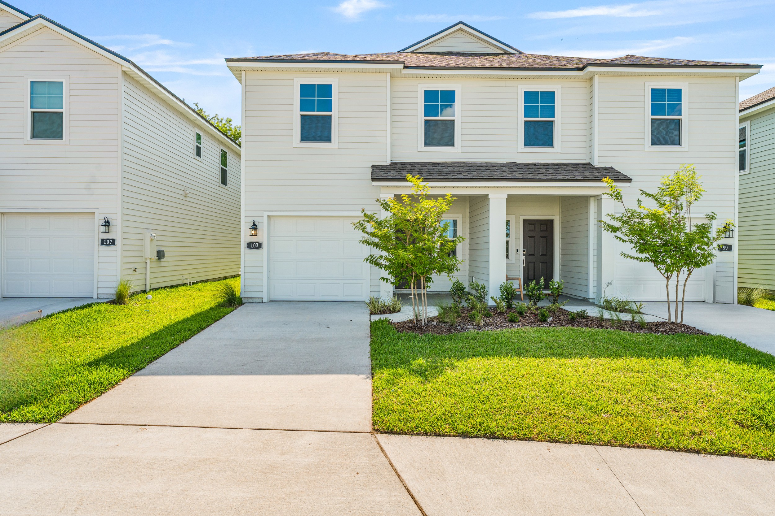 0254 103 Brazil Nut Cir