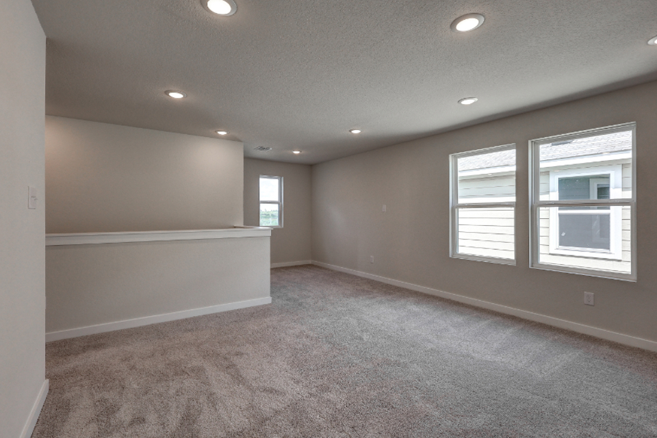 A room with a carpet and windows.