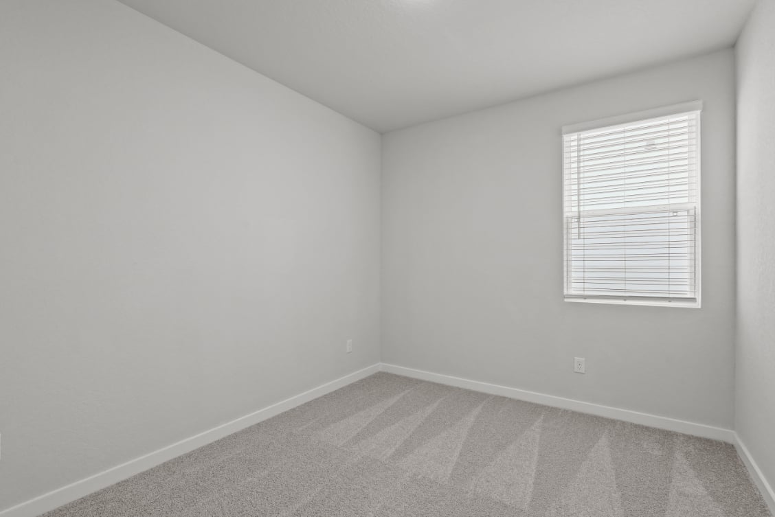 A room with a window and a rug.