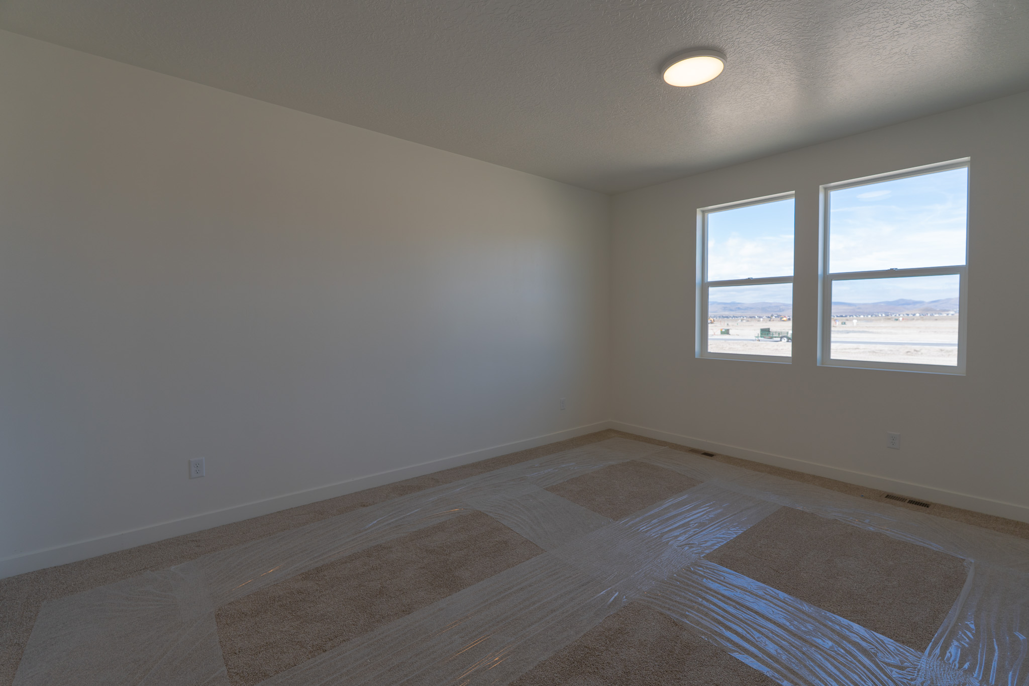 A room with a rug and windows.