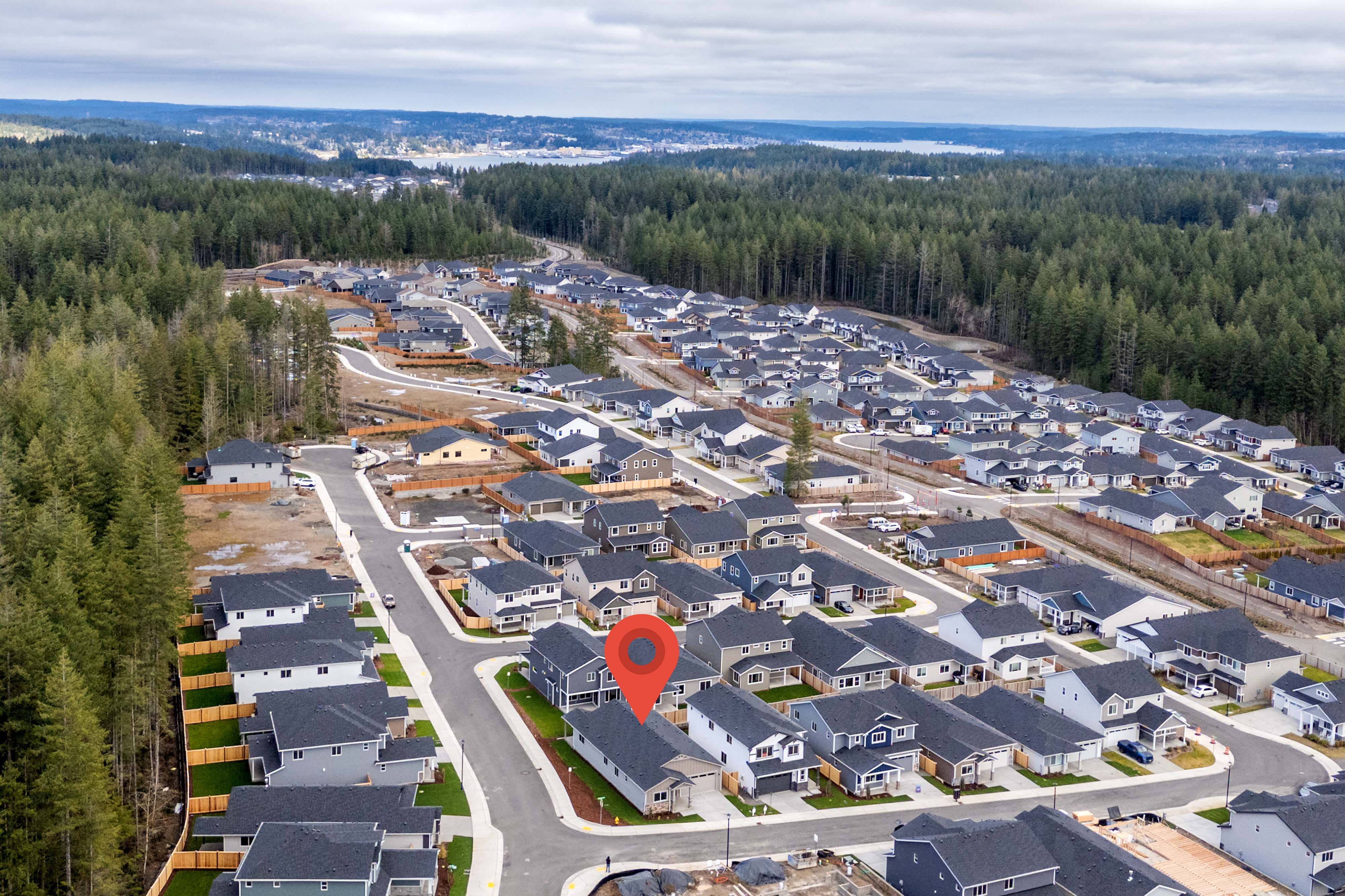 A group of houses surrounded by trees.