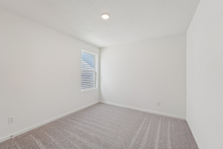 A room with a carpet and a window.